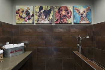 Indoor pet spa